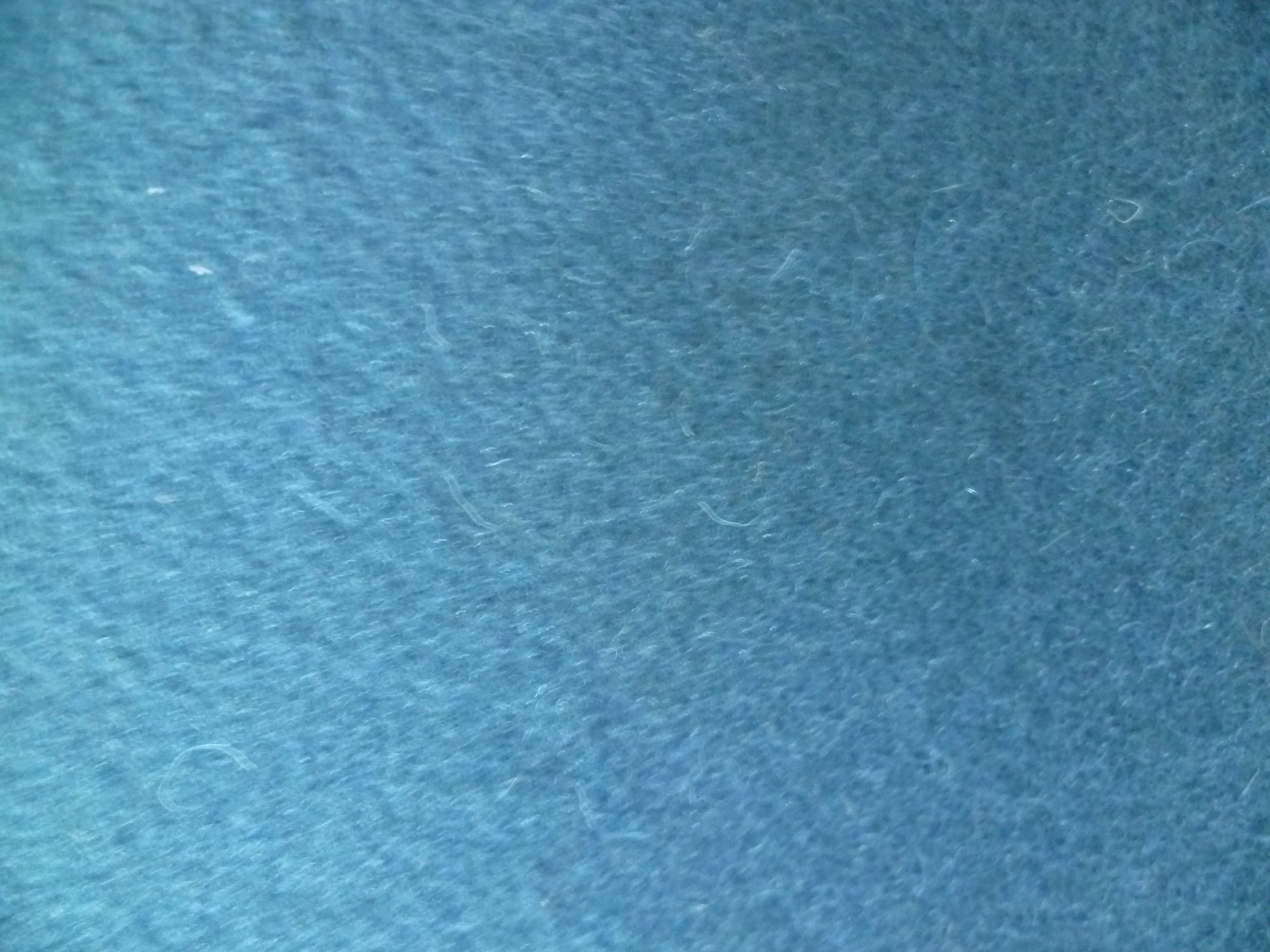 100% Wool ( NEW  )