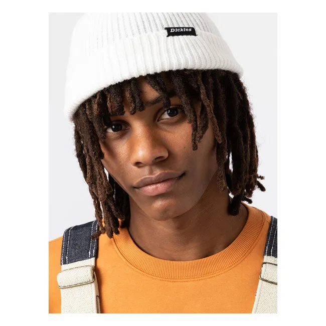 Dickies Woodworth Beanie Cloud