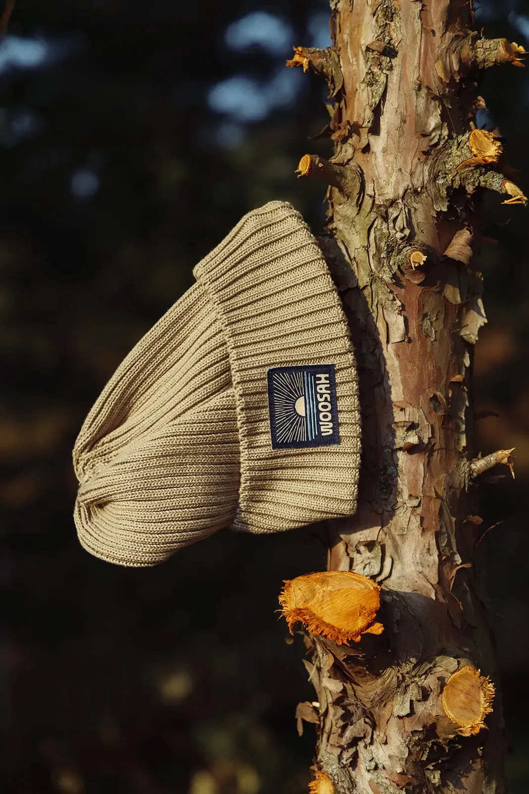 Dunes Beanie