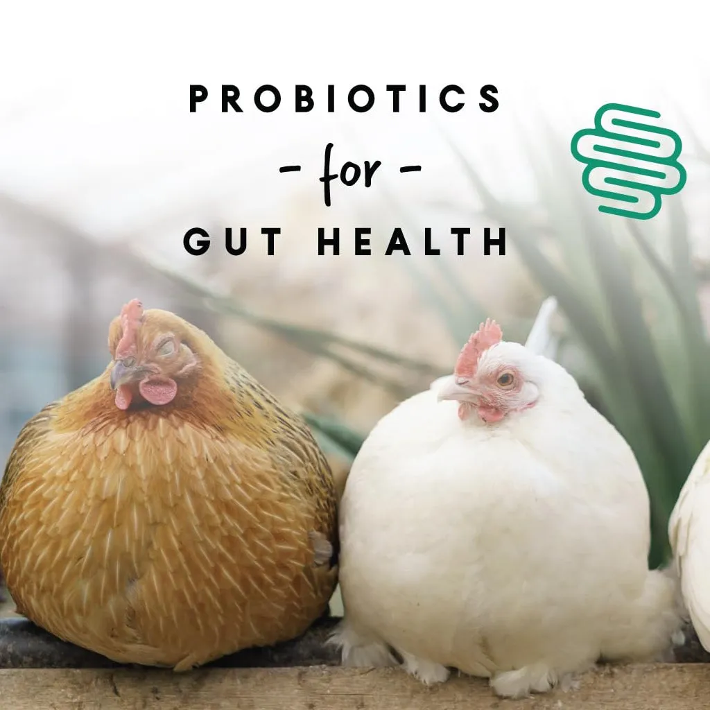 Manna Pro 16% Layer Pellets with Probiotics for Laying Hens (8 lb)