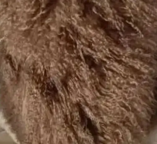 Mongolian Wool Scarf