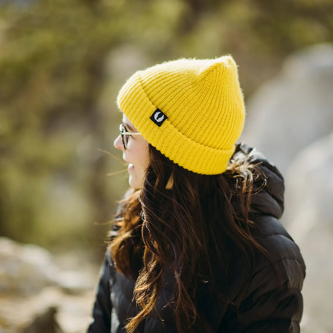 MVP Fold Beanie