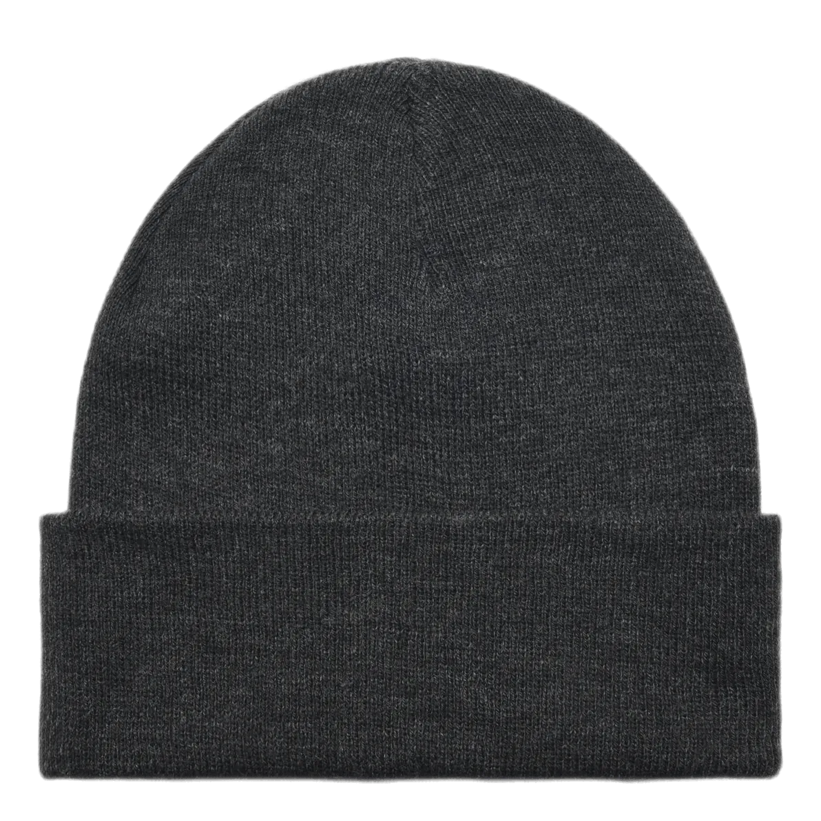 Palm Beanie Gray