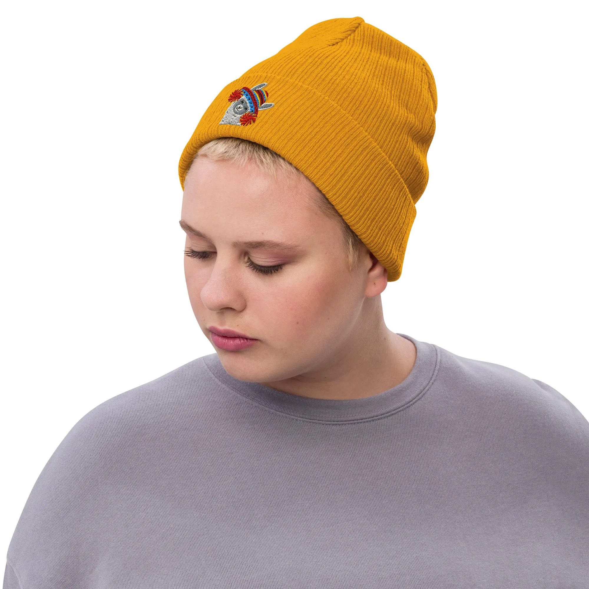 Peruvian Alpaca Embroidered Beanie