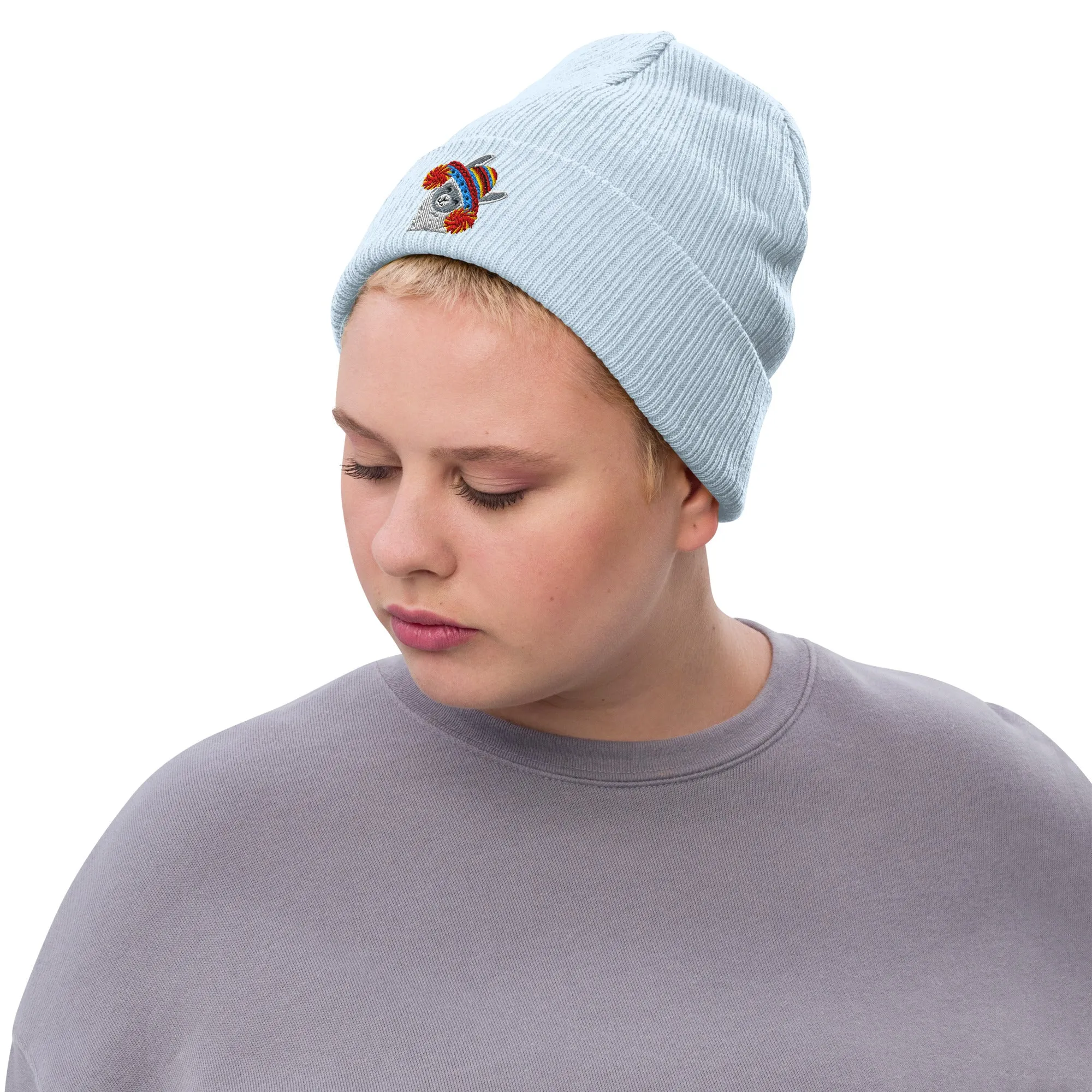 Peruvian Alpaca Embroidered Beanie