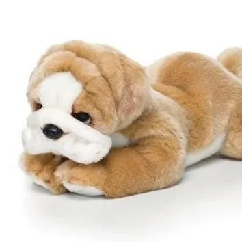 Plush Dogs: Bulldog, Bichon, French Bulldog-Non Sporting Breeds