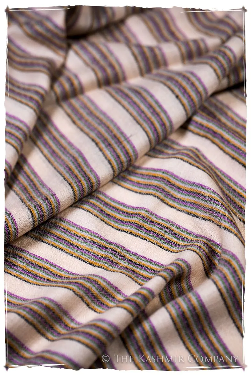 The Fleming - Handloom Pashmina Cashmere Scarf