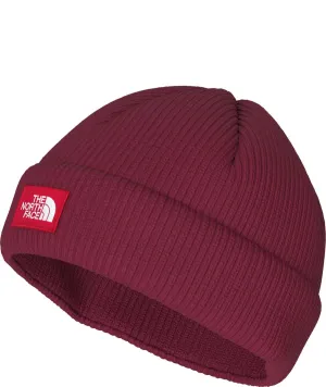 The North Face Salty Lined Beanie